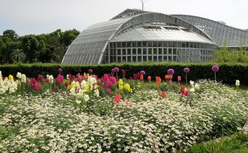 古都ではんなり植物鑑賞 京都府立植物園へ行こうの写真 池に浮かんだ金閣寺のイメージと北山連峰のシルエットを取り入れた外観が特徴的な観覧温室