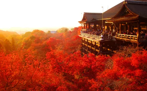22京都紅葉の名所 穴場選 10月 11月 12月が見頃のおすすめ紅葉スポット 2ページ目 22京都紅葉の名所 穴場選 10月 11月 12月が見頃のおすすめ紅葉スポット 2ページ目