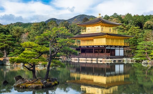 「京都　観光」の画像検索結果