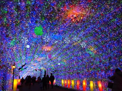 21全国のおすすめイルミネーション28選 3ページ目 21全国のおすすめイルミネーション28選 3ページ目
