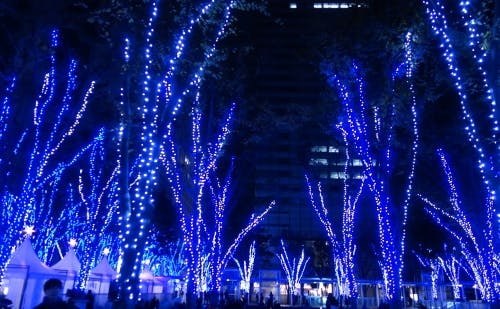 ほのぼのイルミネーション クリスマスマーケット さいたま新都心 の写真 初登場のベルリン カフェ ほのぼのイルミネーション クリスマスマーケット さいたま新都心 の写真 初登場のベルリン カフェ