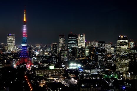 東京タワー ライトアップ徹底ガイド 撮影スポット7選の写真 東京 芝 とうふ屋うかい 前の公園は 赤い マークの辺り
