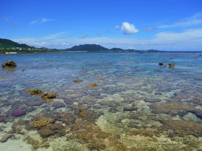 魚の楽園を見にいこう 口コミで大人気の 石垣島 米原ビーチ の写真一覧