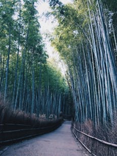 京都 1泊2日でも大満足のおすすめ観光モデルコース 2ページ目