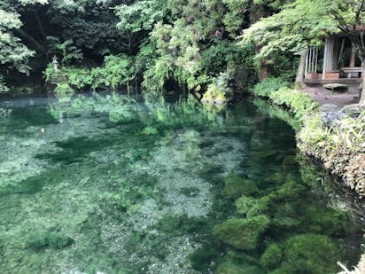 豊かな自然やご当地グルメも 栃木県佐野市の観光スポット8選 2ページ目 豊かな自然やご当地グルメも 栃木県佐野市の観光スポット8選 2ページ目