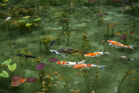 岐阜のおすすめドライブスポット29選 車で行きたい絶景スポット 名所特集 2ページ目 岐阜のおすすめドライブスポット29選 車で行きたい絶景スポット 名所特集 2ページ目