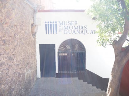 閲覧注意 メキシコ グアナファト 約0体の老若男女がお出迎え ミイラ博物館 の写真一覧