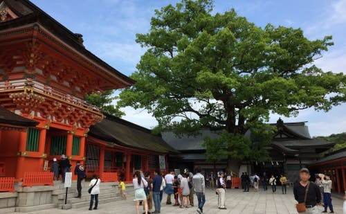 大分 参拝前に八幡神社 八幡宮の総本社 宇佐神宮 の謎を知っておこう 2ページ目 大分 参拝前に八幡神社 八幡宮の総本社 宇佐神宮 の謎を知っておこう 2ページ目