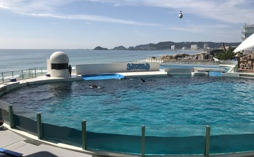 赤ちゃん連れでも楽しめる 千葉 鴨川シーワールド1泊2日の旅へ 2ページ目 赤ちゃん連れでも楽しめる 千葉 鴨川シーワールド1泊2日の旅へ 2ページ目