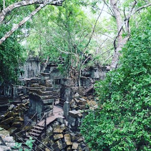 ずっと来たかったベンメリア遺跡。ガイドさん曰く、ここはアンコールワットを建てるために実験的に建てた場所だったらしい。#世界遺産