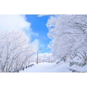御在所岳の樹氷