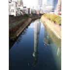 東京 スカイツリー建設中