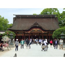 福岡 太宰府天満宮