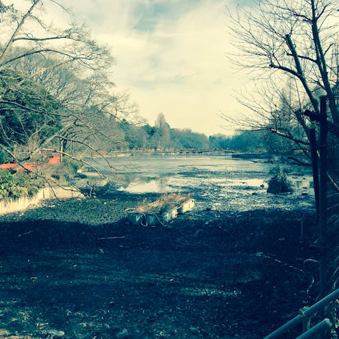 井の頭恩賜公園