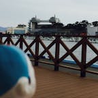 沼津漁港
御殿場アウトレットから三島行きバスでに乗りたかったものの、乗り遅れ、無料バスで御殿場駅に行き、電車で沼津まで。
沼津駅から沼津漁港まで、歩いて2キロ。帰りはバスかタクシーに乗りたかった。。魚はもちろんウマし！