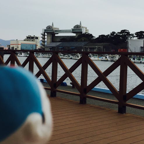 三島・沼津・伊豆長岡