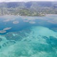 オアフ島 空撮しました✈️
所々のクラゲのようなものは、サンゴ礁らしいです🏖🐠☀️