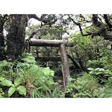 八丈島 - 八丈富士(西山) 浅間神社