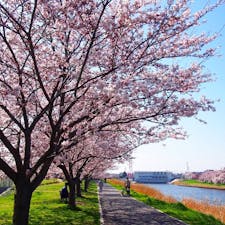 #新川 #八千代 #千葉
2015年3月