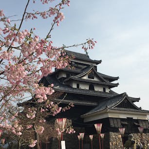 松江城。
桜はこれからかな。