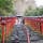 貴船神社

京都市の山の奥。
えんむすび。えんむすび。

#京都#貴船神社#縁結び