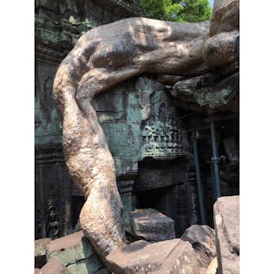 2019/3/30
タ・プローム