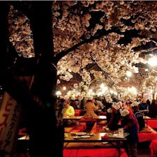 #円山公園 #京都
2015年4月