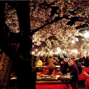 #円山公園 #京都
2015年4月