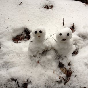 2012/1/21
#高野山