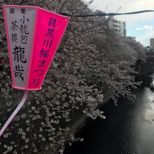 目黒川の花見は平日とは思えない人混みでしたσ(^_^;)
