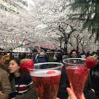 目黒川

桜を見ながら、シャンパンで乾杯♪