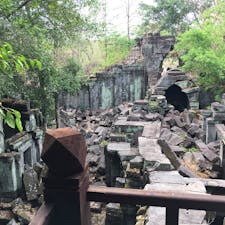 2019/3/31
ベンメリア