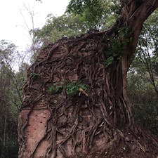 2019/3/31
サンボープレイクック遺跡