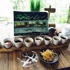 バリ島でおすすめのお茶サンプリングスポット💙Bali Pulina 
#bali
#balipulina
