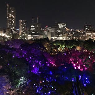2019.4.3
広島城
チームラボ 光の祭
天守閣からの眺め