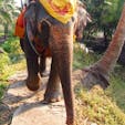 Damnoen Saduak Elephant Village, Bangkok, Thailand
2016年1月