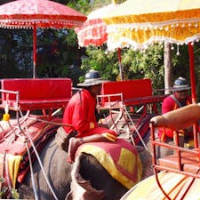 #Damnoensaduakelephantvillage #Bangkok #Thailand
2016年1月