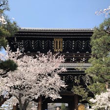 金戒光明寺