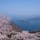 広島の竜王山展望台から瀬戸内海と桜を展望🌸