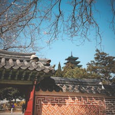 壁がかわいい。