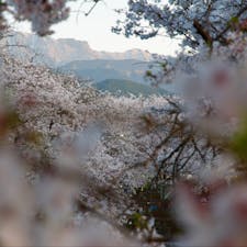 石鎚山を借景に、西条市の石田ひょうたん池