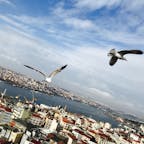 トルコ イスタンブール
空と街と鳥
