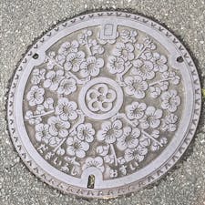 太宰府市( *¯ ³¯*)福岡