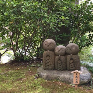 ✔️鎌倉📍長谷寺

時間が足りなくてもっとじっくり全部見たいから絶対リベンジ💪