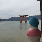 宮島 厳島神社
何度でも来たくなる場所。外国人比率7割くらい。