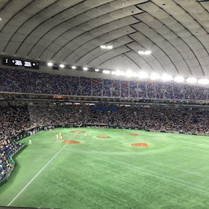 東京ドーム バルコニー席（1塁側）からの眺め
真下には外野席ライト側があります。