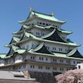 桜満開の名古屋城
さくら日和🌸