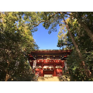 #静岡 #久能山東照宮
海から階段登るもよし ☻ 
日本平から富士山見てロープウェイもよし ☺︎