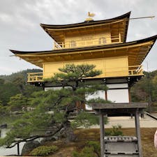 曇り空の金閣寺だったけど、
迫力があった‼︎
