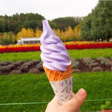 #ファーム富田 #富良野 #北海道
2016年10月

#ラベンダーソフト 思いの外美味しくて驚いた🍦🍦